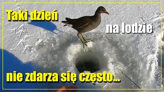 Taki dzień na lodzie nie zdarza się często  W końcu piękna zima jaką lubię  Wędkarstwo podlodowe [upl. by Sainana574]