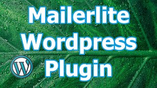 MailerLite Wordpress Plugin tutorial en español [upl. by Ahsilrae]