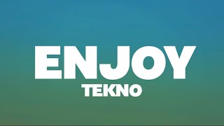 Tekno  Enjoy Lyrics [upl. by Kalina]