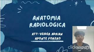 Radiografias Imagenologia convencional [upl. by Scevo]