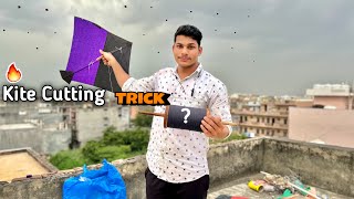 Kite Cutting Tricks  Kite Flying  Kite Vlog [upl. by Enitsuj]