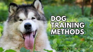 Understanding Dog Training Methods Operant Conditioning [upl. by Eagle]