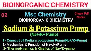 Sodium amp Potassium PumpNaKATPase bioinorganic mscchemistry bscchemistry itschemistrytime [upl. by Anibur]