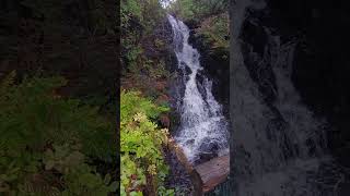 Dunvegan Castle Garden Isle of Skye Scotland 🏴󠁧󠁢󠁳󠁣󠁴󠁿 shorts travel explore [upl. by Hunsinger]