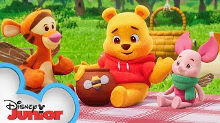 Winnie the Pooh Springtime With Roo  Part 1  Disney Cinemagic UK [upl. by Body]