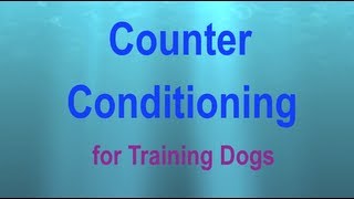 Counter Conditioning a Visual Explanation [upl. by Al924]