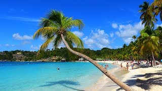 Best Beaches on les îles de Guadeloupe incl Plage de La Caravelle [upl. by Nolyaw36]