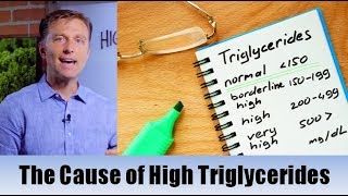 The True Cause of High Triglycerides – Dr Berg [upl. by Tertius]