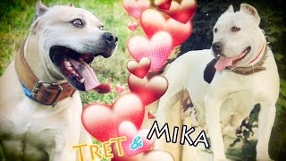 TreT amp Mika [upl. by Redna]