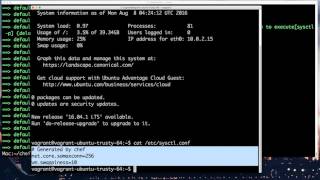 Chef Attributes demo part1  Sysctl [upl. by Naiva]