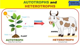 AUTOTROPHS and HETEROTROPHS [upl. by Stutman]