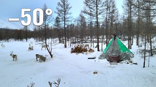 Life of Mongolia Nomads near the borders of Russia Tsaatan life in Mongolia in winter [upl. by Neellek]