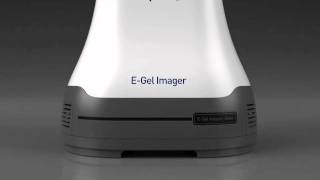 The new EGel® Imager revolutionizing gel documentation [upl. by Sheffield]