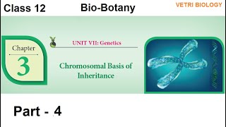 12th Bio Botany Chapter 3 Chromosomal Basis of Inheritance Part 4 [upl. by Weixel]