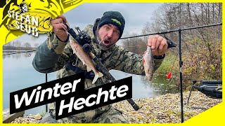 HECHT im WINTER  24 STUNDEN am NEUEN GEWÄSSER   Köderfisch gegen Gummifisch [upl. by Akihsal]