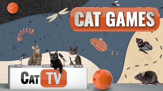 Cat Games  Ultimate Cat TV Compilation Vol 13  2 HOURS 🐱📺🎈🦜🐜🐭🧵🐝🐞🦋🦎 [upl. by Ahab]