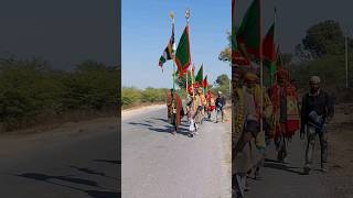 Ajmer Urs 2024 Chadiyo Ka Mela Kaliyar To Ajmer Paidal Yatra Gagwana Ajmer Sharif dargah urs [upl. by Pickard]