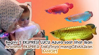 Begini ekspresi lvcv Azura saat lht Ikan ekspresi takvtnya menggemazkan ameenaattahalilintar [upl. by Mirelle]