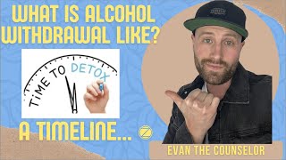 Alcohol Withdrawal Symptoms  A Detox Timeline and What To Expect [upl. by Candie815]