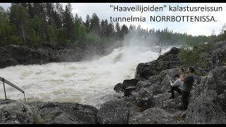 quotHaaveilijoidenquot kalastusreissun tunnelmia NORRBOTTENISSA [upl. by Llesig]