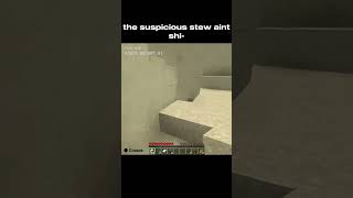 Suspicious stew aint shi minecraft meme funny ai [upl. by Erbua]