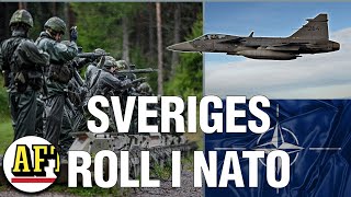 Experten Därför kommer Sverige bli viktigt för Nato [upl. by Vaientina]