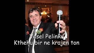 Vesel Pelinku  Hajde bir ne krajen ton Official Music [upl. by Antipus]