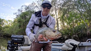 Gold Coast Mangrove Jack on Surface Lures and Crankbaits [upl. by Fae]