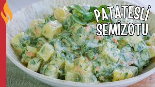 Patatesli Semizotu Salatası 😋 Favori Yaz Salatası Tarifi 💯 [upl. by Arayc]