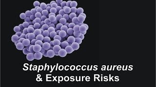 Staphylococcus aureus amp Exposure Risks [upl. by Darcie]