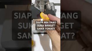 Siapa yang suka makan tomat Lihat dulu dengan microscope yuk [upl. by Aititil]