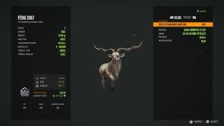 theHunter Call of the Wild Max Weight 22450 Feral Goat [upl. by Garett]