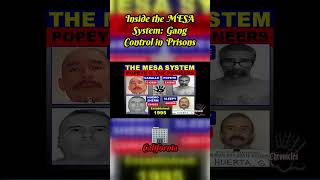 Unraveling the Secrets of Prison Gang Control The MESA System [upl. by Nylarahs34]