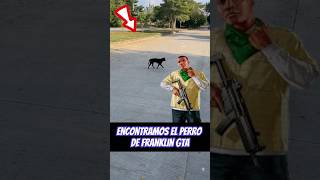 Encontramos el perro de Franklin GTA 😱 [upl. by Melmon910]