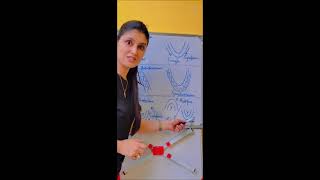 The RIDGE explain Anticline Syncline antiform Synform and Anticlinorium Synclinorium [upl. by Roxanna9]