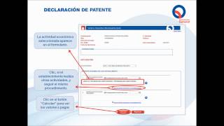 DECLARACION DE PATENTE EN LINEA [upl. by Lledner]