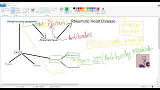 Rheumatic heart disease RHDstreptococcus pyogenes amp rheumatic fever USMLE STEP 1 CARDIOLOGY [upl. by Reine192]