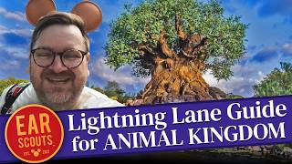 Lightning Lane Strategy for Animal Kingdom Our Best Tips for Multi Pass at Walt Disney World [upl. by Fulvia507]