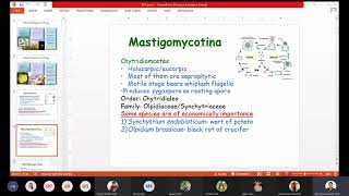 Classification of fungi  Anisworth Classification  Kingdom Fungi Classification  ABCDOPZ [upl. by Aisylla]