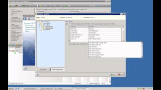 Shipping Software How To Customize StarShips Interface Using ERP Data [upl. by Muldon]