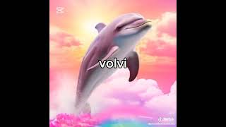 volvi xd shorts [upl. by Sivolc]