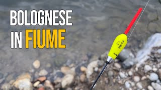 Pesca Bolognese  Una pescata RICCA di CATTURE in Acqua BASSA e CRISTALLINA 🎣 [upl. by Ingunna]