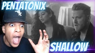 YOU CAN FEEL THE EMOTION PENTATONIX  SHALLOW  REACTION [upl. by Eahcim282]