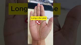 A Lifetime of Wellbeing Palmistry PalmReading [upl. by Yk423]