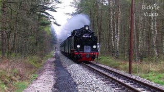 Eisenbahn 2012 25 Dampfloks  Steam Trains  Züge [upl. by Leirza]