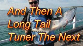 A summary of Urangan Pier Fishing Hervey Bay [upl. by Nevaj665]