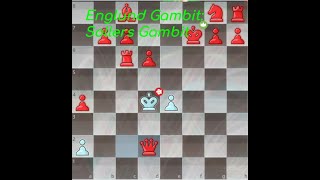 Englund Gambit Sollers Gambit and how to use it [upl. by Yrelbmik]