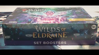 Magic The Gathering MTG Wilds of Eldraine Set Booster Box magicthegathering mtg cardopening [upl. by Anahcra987]