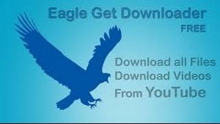 How To download videos From Eagleget [upl. by Nnayrrehs344]