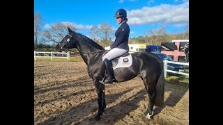 First Novice Dressage Test Hill House Part 2 [upl. by Ysiad]